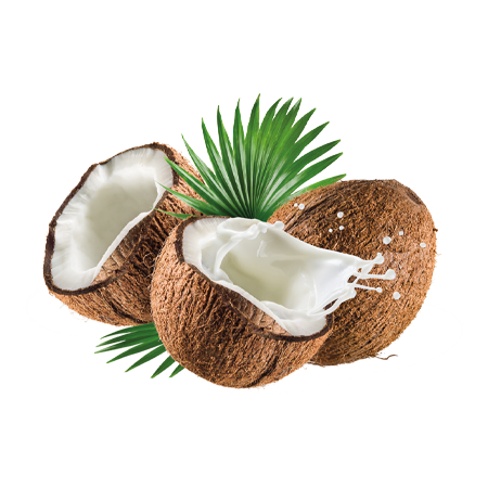 sumak-frut-frutas-coco