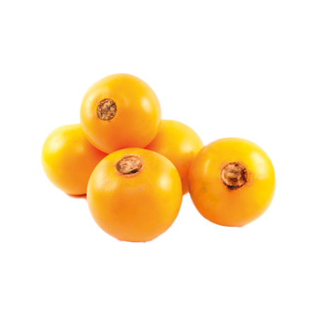 sumak-frut-frutas-naranjilla-colada