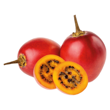 sumak-frut-frutas-tomate-árbol