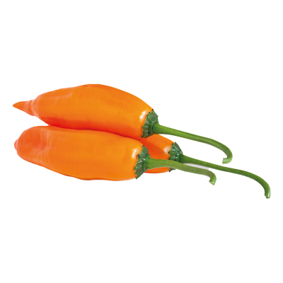 sumak-frut-legumbres-aji-amarillo-ok