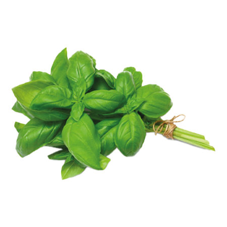 sumak-frut-legumbres-albahaca-ok