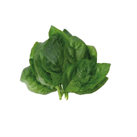 sumak-frut-legumbres-espinaca-ok