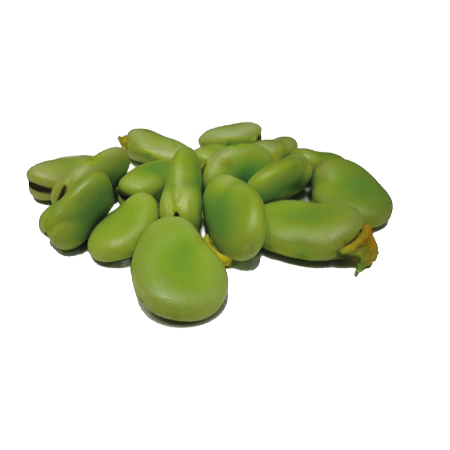 sumak-frut-legumbres-habas