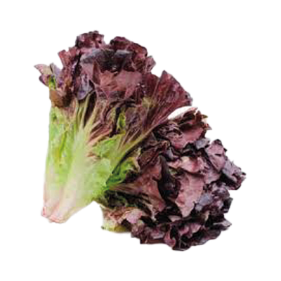 sumak-frut-legumbres-lechuga-morada-ok