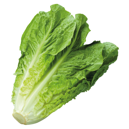 sumak-frut-legumbres-lechuga-romana