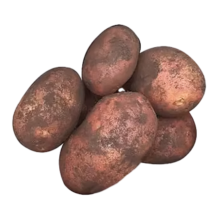 sumak-frut-legumbres-papa-chola-chaupi
