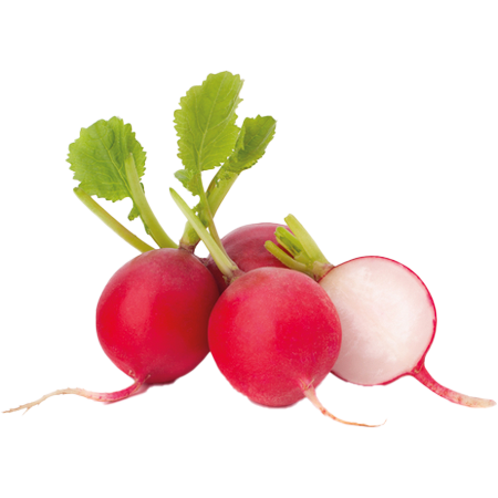 sumak-frut-legumbres-rábano